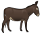 Donkey