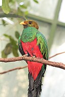 Flickr user chdwckvnstrsslhm . Photo uploaded to commons by user ltshears, CC BY 2.0 <https://creativecommons.org/licenses/by/2.0>, via Wikimedia Commons