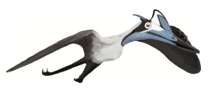 A pterodactyl