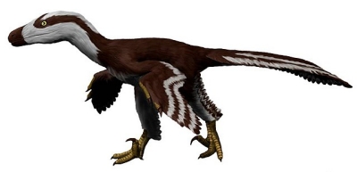 By Nobu Tamura email:nobu.tamura@yahoo.com http://spinops.blogspot.com/ http://paleoexhibit.blogspot.com/ - http://spinops.blogspot.com/2016/06/acheroraptor-temertyorum.html?q=Acheroraptor, CC BY-SA 4.0, https://commons.wikimedia.org/w/index.php?curid=49968913